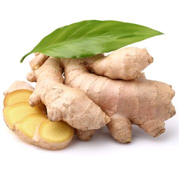 Organic Ginger