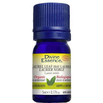 Laurier Noble Essential Oil Laurus Nobilis Organic - Flu Bronchitis