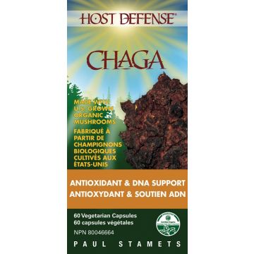 Chaga - Antioxidant and DNA Support