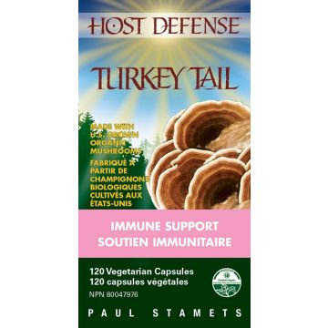 Turkey Tail - Immune support