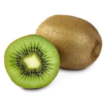 Kiwi biologique  