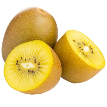 Kiwi jaune biologique