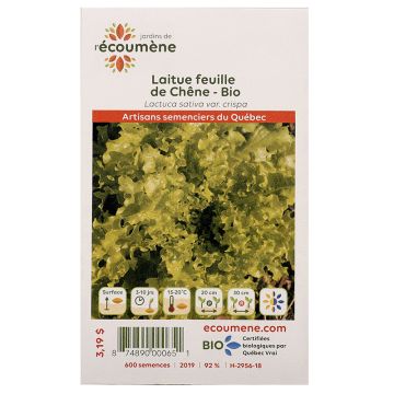 Organic lettuces - Oak leaf lettuce
