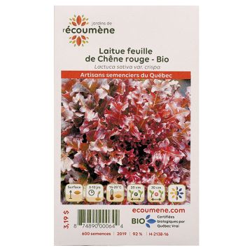 Lettuce organic -  Red oak leaf lettuce