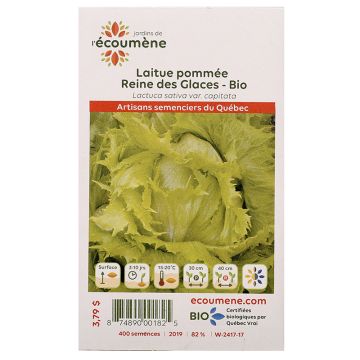 Laitues biologiques  -  Reine des glaces  