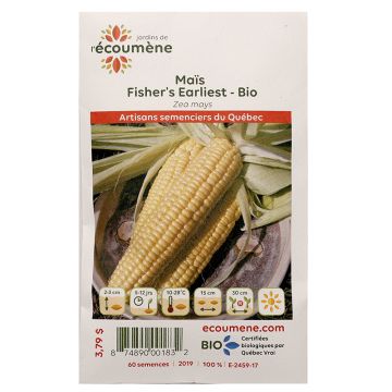 Légumes biologiques  - Maïs fisher's earliest 