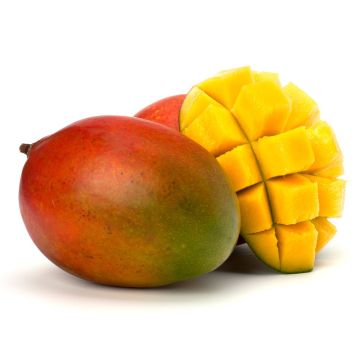 Mangue biologique