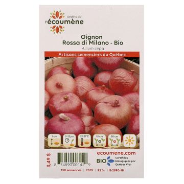 Organic vegetables - Onion rossa di milano