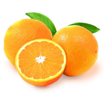 Oranges Navel biologiques