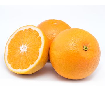 Orange Valencia biologique
