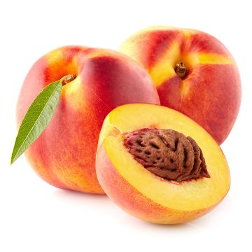 Pêches biologiques