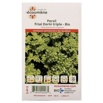 Fines herbes biologiques  - Persil frisé darki triple  