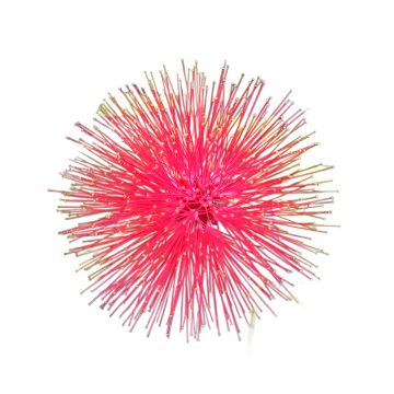 Red Dandelion