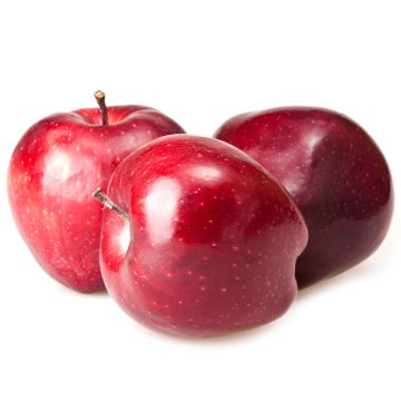 Pomme  Rouge Olympic biologique