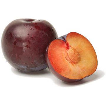 Organic Red Plum