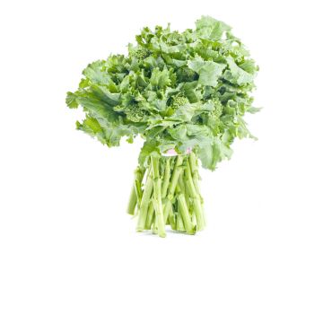 Organic Rapini