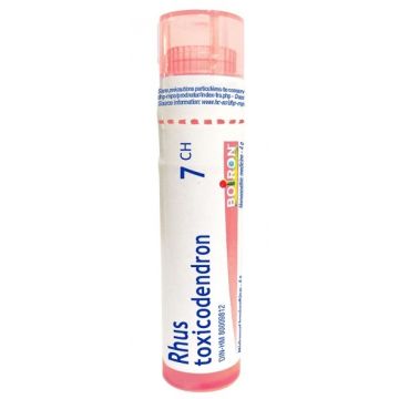 Remède homéopathique - Rhus toxicodendron 7 CH