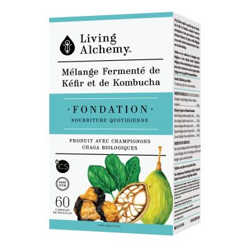 Kefir-Kombucha fermented blend  - Foundation