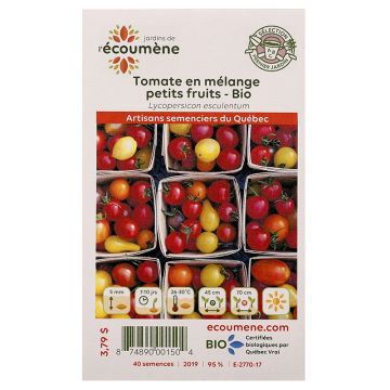 Semences biologiques - Tomate en mélange petits fruits 