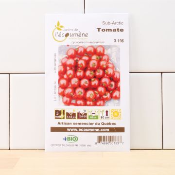 Organic seeds - Sub-artic cherry tomato