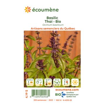 Organic Basil - Thai