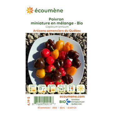 Organic seeds - Miniature peppers in mixtures