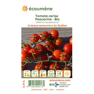 Organic seeds - Peacevine cherry tomato