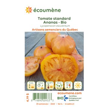 Semences biologiques - Tomate standard ananas  