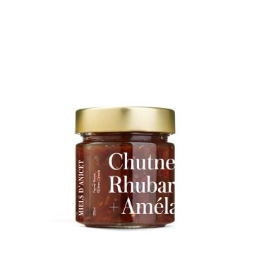 Rhubarb Saskatoon Berry and Honey Chutney