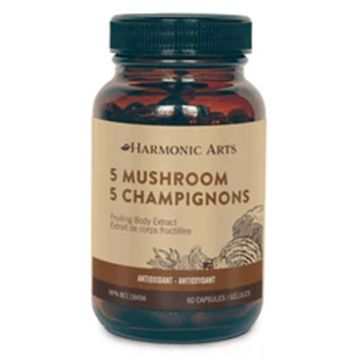 5 champignons - Antioxydant