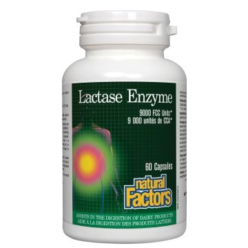 Enzymes & digestion -  Lactase Enzyme