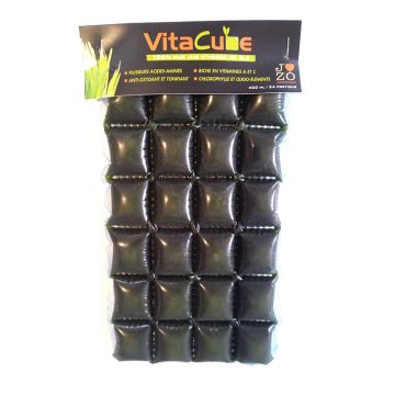 Cubes surgelés Vitacube - Herbe de blé 100% pur jus