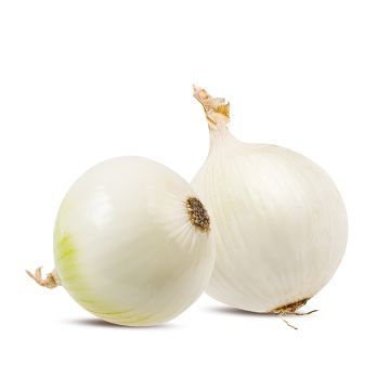 Organic white onion