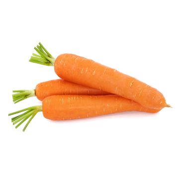 Organic Carrots  