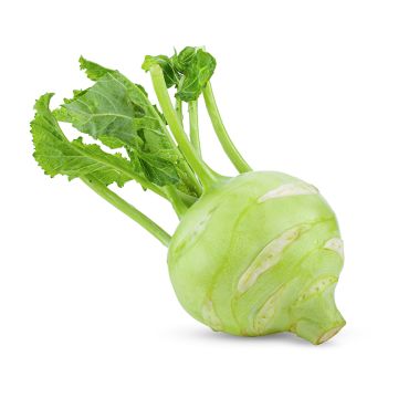 Organic Green Kohlrabi