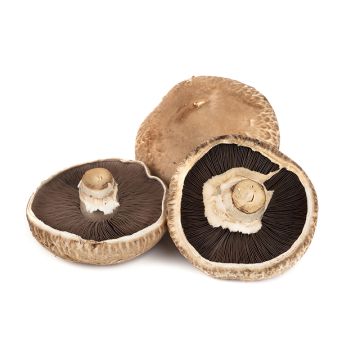 Organic Portabellini Mushrooms