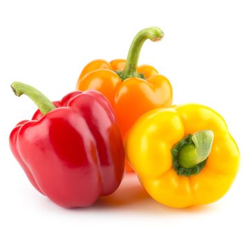 Organic Colored Pepper