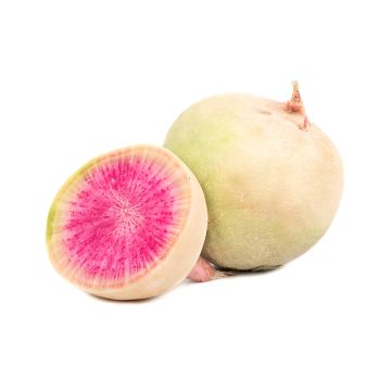 Organic Watermelon Radish