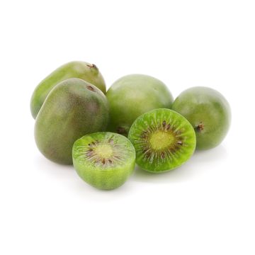 Organic Kiwi Berry