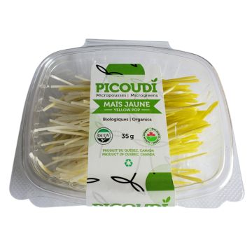 Organic Sprouts  Yellow Corn