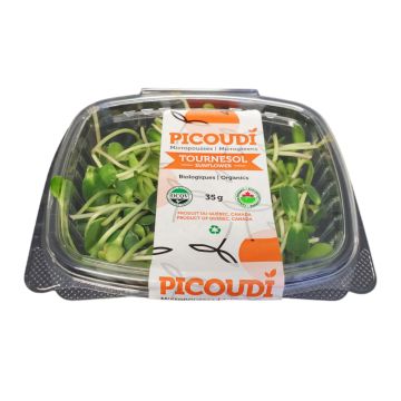 Organic Sprouts  Sunflower