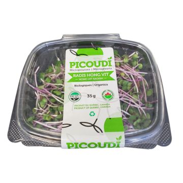 Organic Sprouts Radish Hong Vit