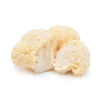 Organic Lion's Mane Mushroom