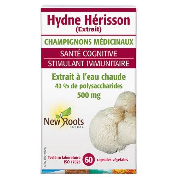 Champignons - Hydne Hérisson extrait