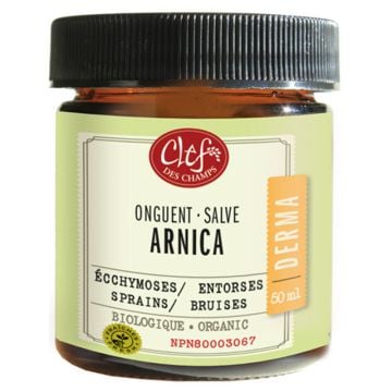 Arnica Salve