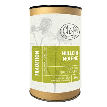 Plantes biologiques - Molène feuille coupée