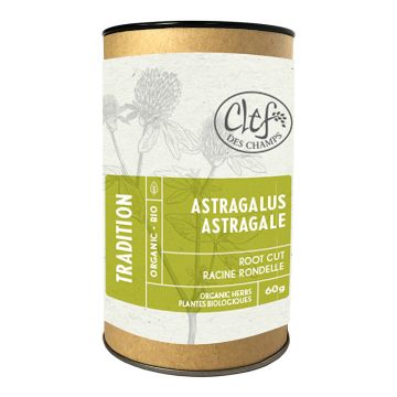 Plantes biologiques - Astragale racine rondelle