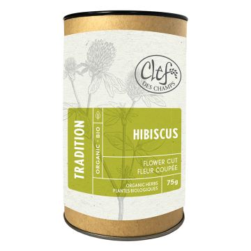 Hibiscus biologique - Fleur coupée