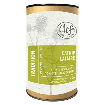 Plantes biologiques - Cataire sommitée fleurie coupée