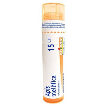 Remède homéopathique -  Apis mellifica 15CH